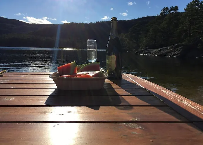 Nyaraló Sinesoyni In Byglandsfjord - Evje