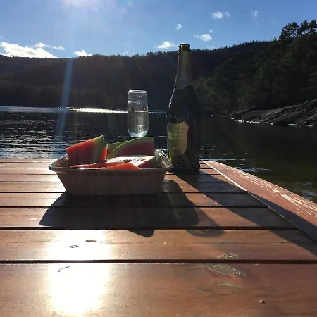 Holiday home Sinesoyni In Byglandsfjord - Evje
