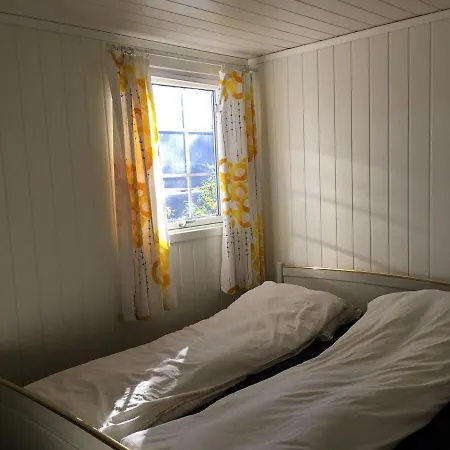 Sinesoyni In Byglandsfjord - Evje *