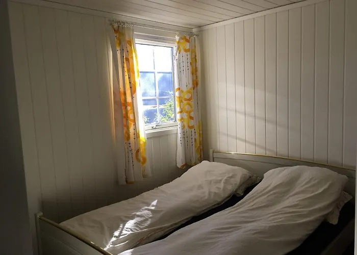 Sinesoyni In Byglandsfjord - Evje *